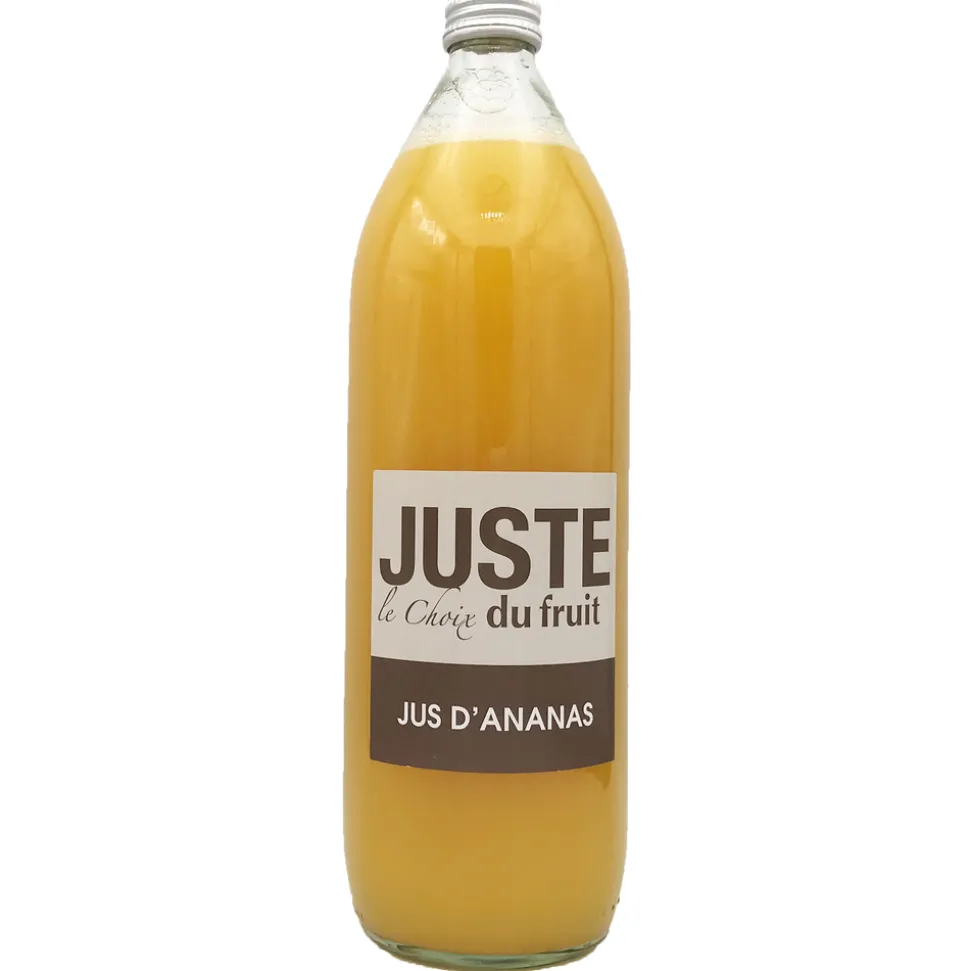 MONIN - Jus d'ananas - 1L