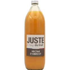 MONIN - Nectar d'abricot - 1L