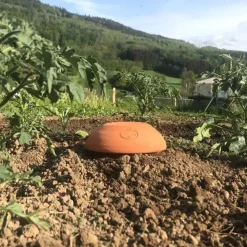 OLLAS ORIGIN - Céramique d'irrigation Ollas Jamet Origin n°3 - 3L