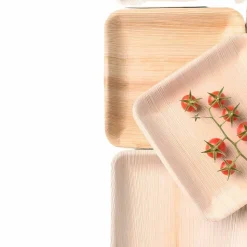 PACOVIS - Assiettes jetables en palmier - lot de 25 - 18 x 18 cm