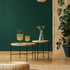 PARIS PRIX - Lot de 2 pots à fleurs 