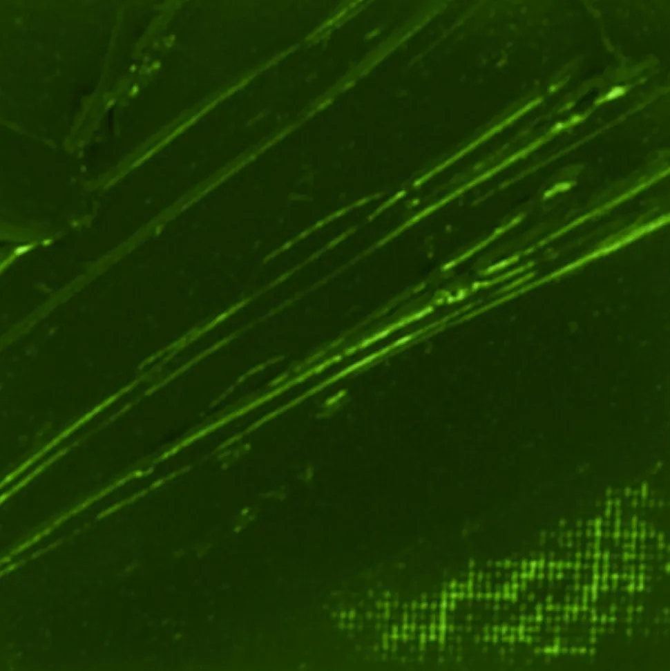 PÉBÉO - Peinture à l'huile fine xl studio - terre verte - 200 ml