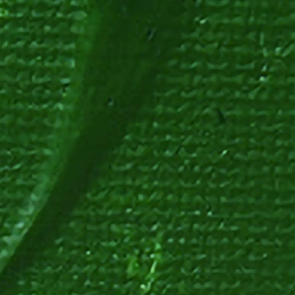 PÉBÉO - Peinture acrylique opaque - vert de hooker - 100 ml