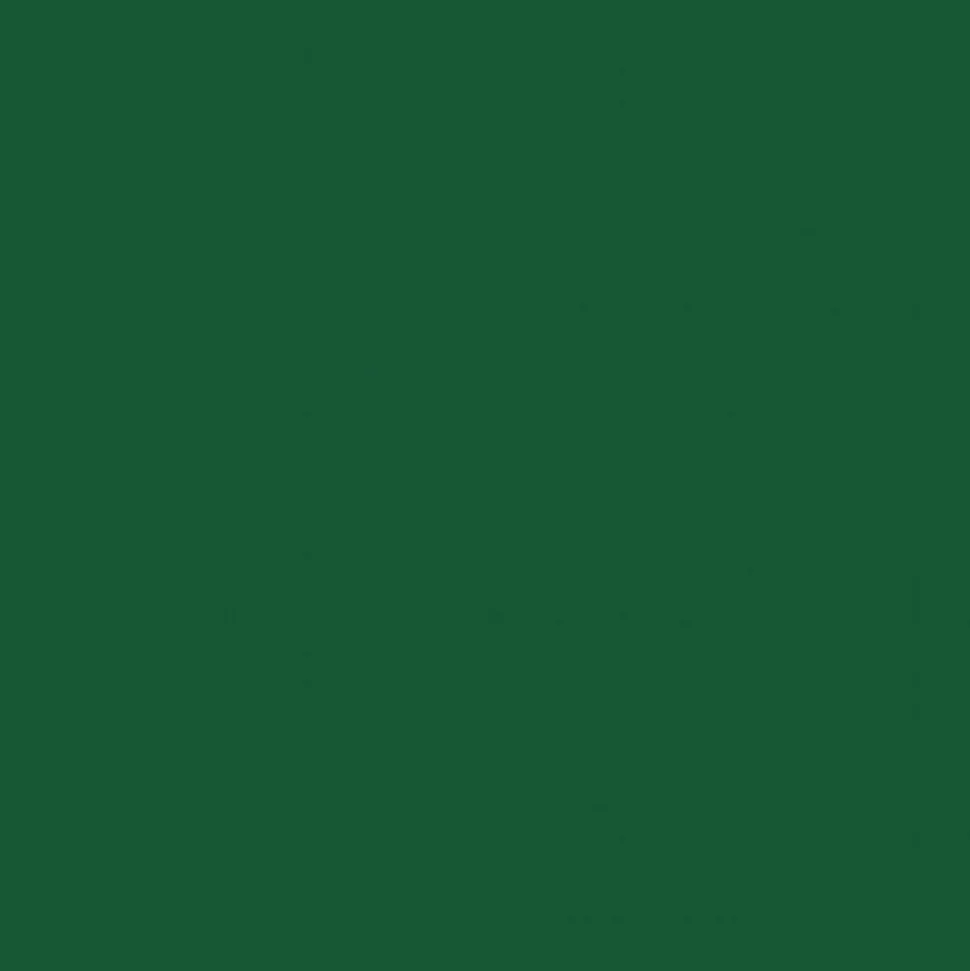 PÉBÉO - Peinture acrylique opaque brillante - vert foncé - 45 ml