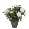 Plante artificielle : Pot azaléa blanc H.27 cm