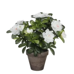 Plante artificielle : Pot azaléa blanc H.27 cm