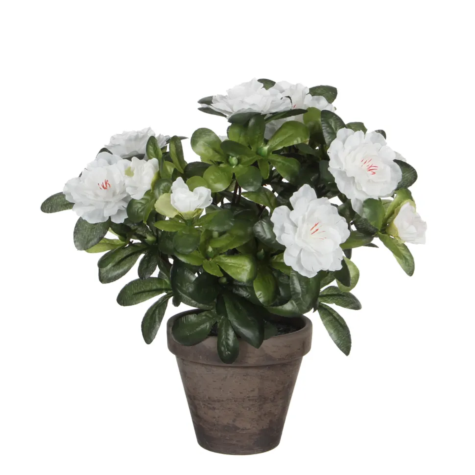 Plante artificielle : Pot azaléa blanc H.27 cm