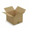 RAJA - 10 cartons d'emballage 31 x 22 x 18 cm - simple cannelure