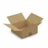 RAJA - 15 cartons d'emballage 25 x 25 x 10 cm - simple cannelure