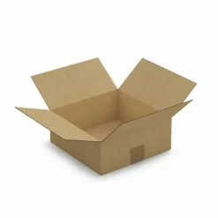 RAJA - 15 cartons d'emballage 25 x 25 x 10 cm - simple cannelure