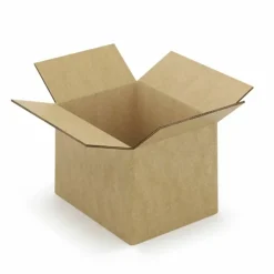 RAJA - 10 cartons d'emballage 31 x 22 x 20 cm - double cannelure