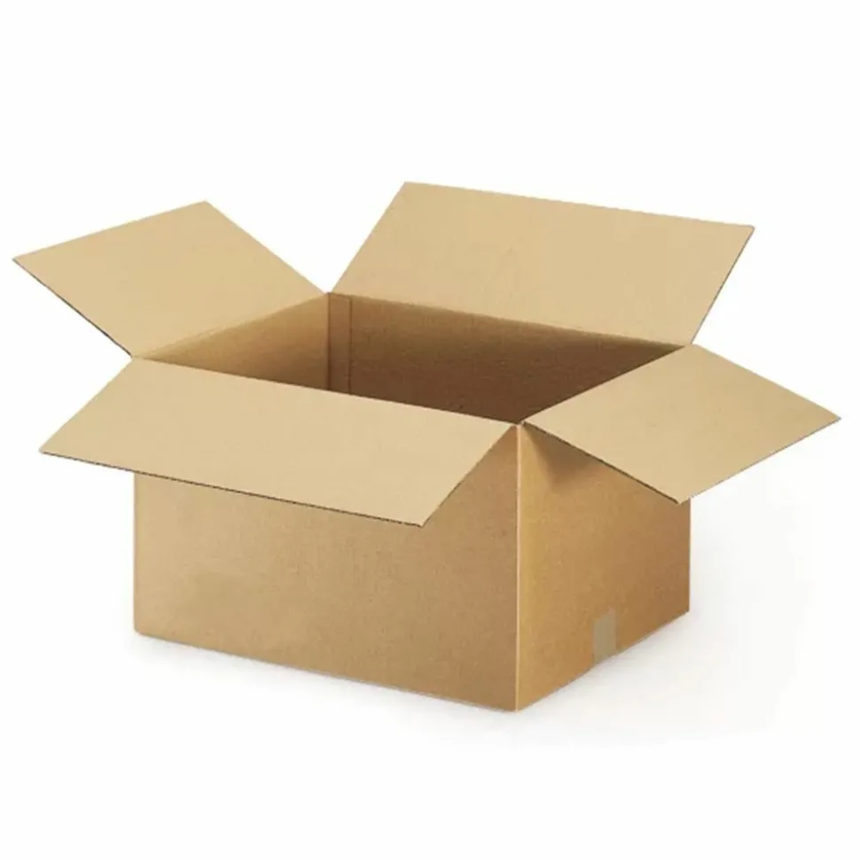 RAJA - 20 cartons d'emballage 20 x 20 x 11 cm - simple cannelure