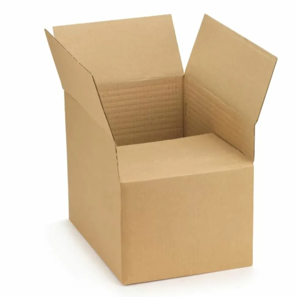 RAJA - 20 cartons d'emballage 31 x 21.5 x 8 cm - simple cannelure