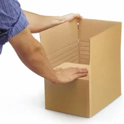 RAJA - 20 cartons d'emballage 31 x 21.5 x 8 cm - simple cannelure