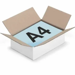 RAJA - 15 cartons d'emballage 31 x 21.5 x 5.5 cm - simple cannelure