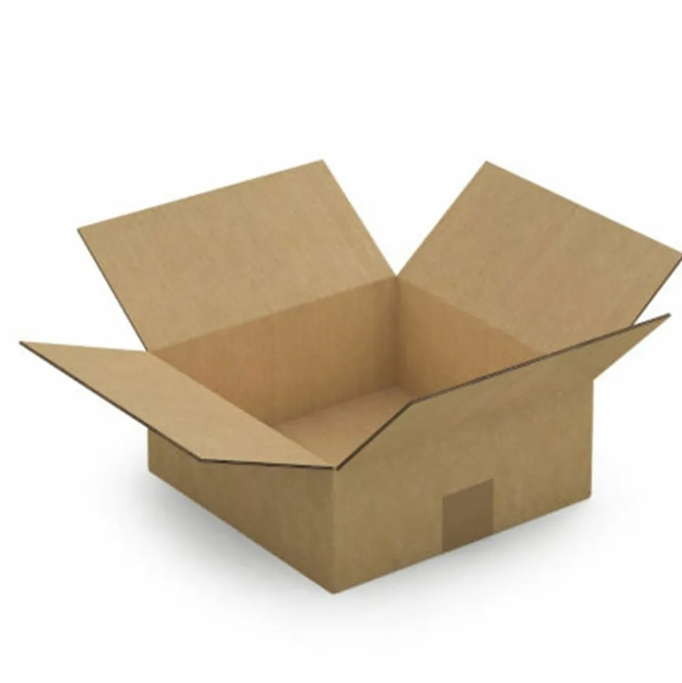 RAJA - 10 cartons d'emballage 25 x 25 x 10 cm - double cannelure