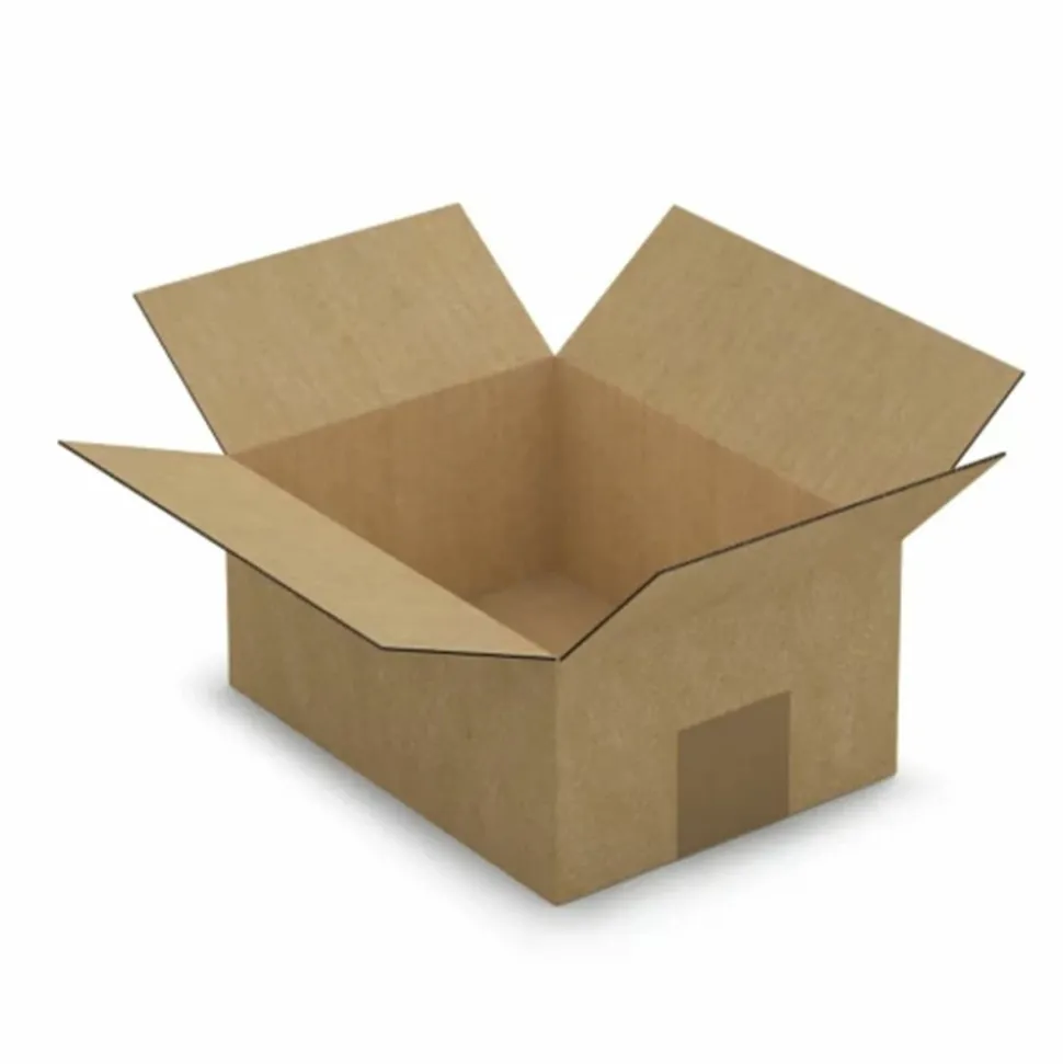RAJA - 5 cartons d'emballage 25 x 25 x 19 cm - simple cannelure