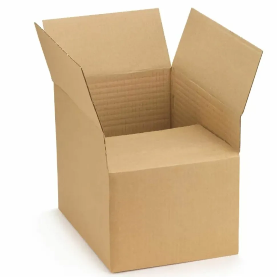 RAJA - 10 cartons d'emballage 30 x 25 x 20 cm - simple cannelure