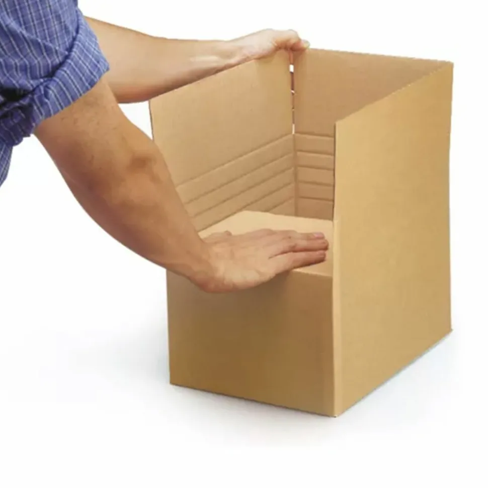 RAJA - 10 cartons d'emballage 30 x 25 x 20 cm - simple cannelure