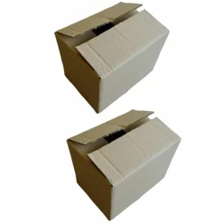 RAJA - 2 cartons d'emballage 20 x 15 x 11 cm