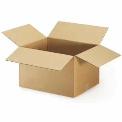 RAJA - 15 cartons d'emballage 20 x 15 x 9 cm - simple cannelure