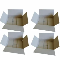 RAJA - 4 cartons d'emballage 31 x 21 x 7,5 cm