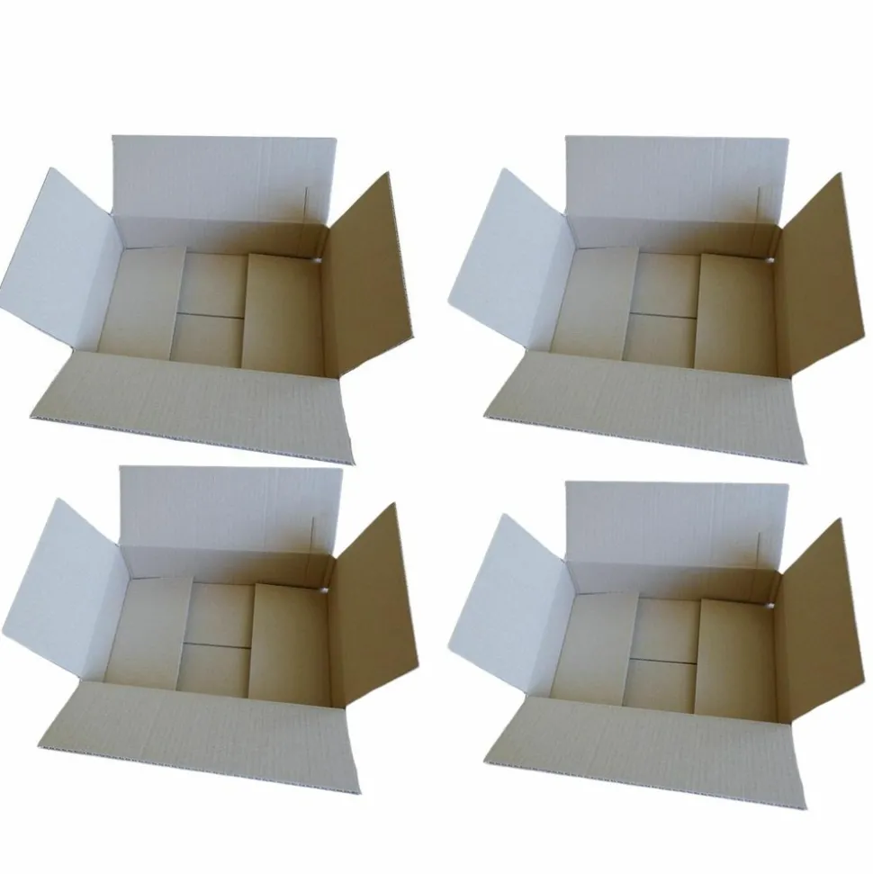 RAJA - 4 cartons d'emballage 31 x 21 x 7,5 cm