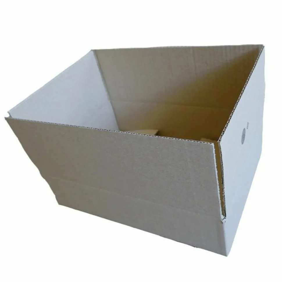 RAJA - 4 cartons d'emballage 31 x 21 x 7,5 cm