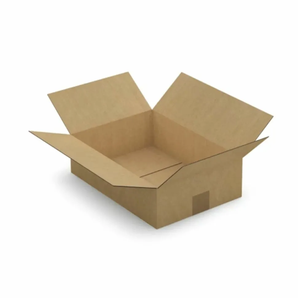 RAJA - 5 cartons d'emballage 35 x 25 x 10 cm - simple cannelure