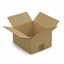 RAJA - 10 cartons d'emballage 23 x 19 x 12 cm - simple cannelure