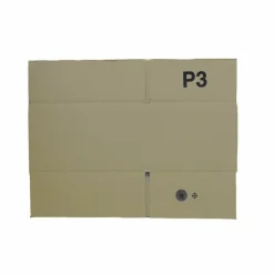 RAJA - 20 cartons d'emballage 20 x 15 x 11 cm