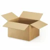 RAJA - 10 cartons d'emballage 16 x 12 x 11 cm - double cannelure