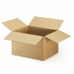 RAJA - 10 cartons d'emballage 16 x 12 x 11 cm - double cannelure