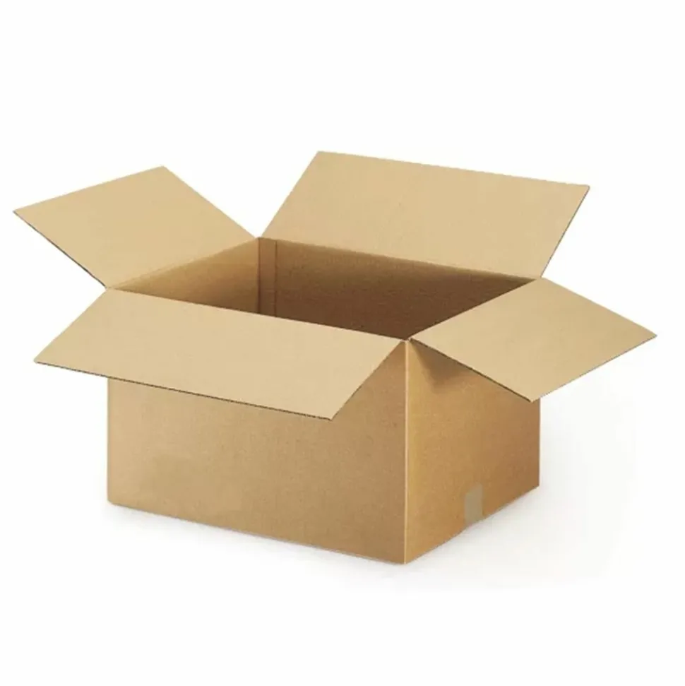 RAJA - 10 cartons d'emballage 16 x 12 x 11 cm - double cannelure