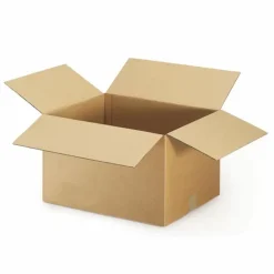 RAJA - 15 cartons d'emballage 20 x 20 x 11 cm - simple cannelure