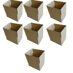 RAJA - 7 cartons d'emballage 20 x 15 x 11 cm