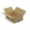 RAJA - 20 cartons d'emballage 31 x 21.5 x 10 cm - simple cannelure