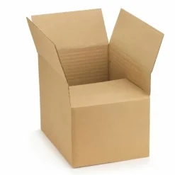 RAJA - 10 cartons d'emballage 31 x 21.5 x 8 cm - simple cannelure