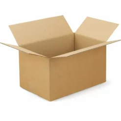 RAJA - 15 cartons d'emballage 31 x 21.5 x 8 cm - simple cannelure