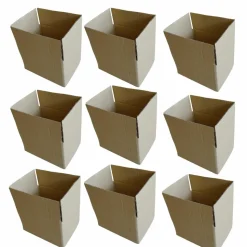 RAJA - 10 cartons d'emballage 20 x 15 x 11 cm