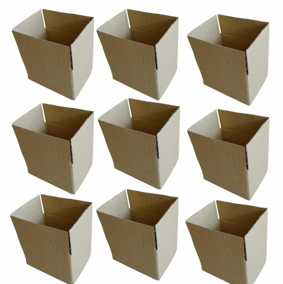 RAJA - 10 cartons d'emballage 20 x 15 x 11 cm