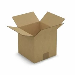 RAJA - 5 cartons d'emballage carrés 20 x 20 x 20 cm - simple cannelure
