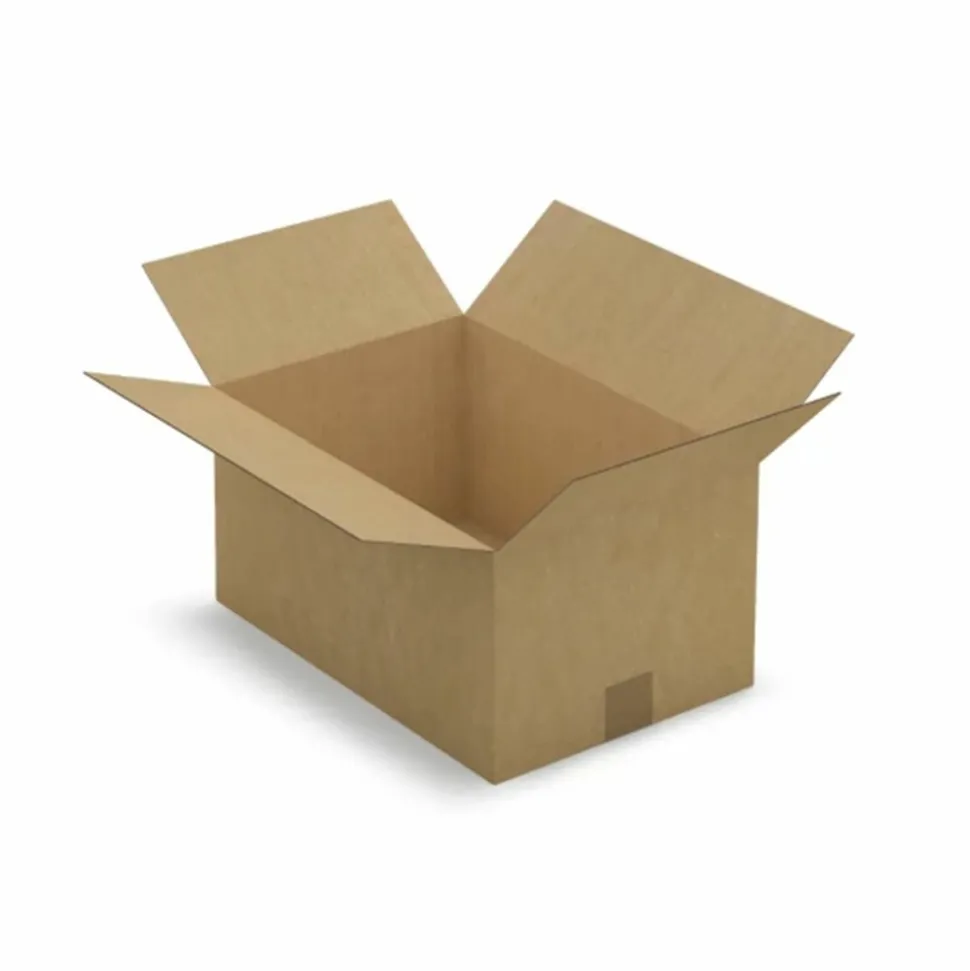 RAJA - 15 cartons d'emballage 25 x 15 x 14 cm - simple cannelure