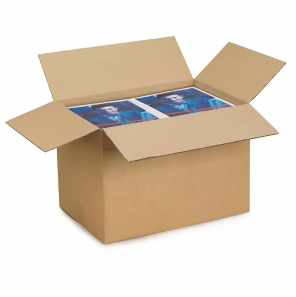 RAJA - 15 cartons d'emballage 25 x 15 x 14 cm - simple cannelure