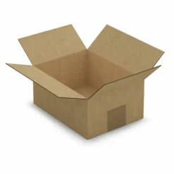 RAJA - 10 cartons d'emballage 20 x 15 x 9 cm - simple cannelure