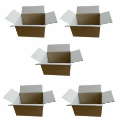 RAJA - 5 petits cartons d'emballage 16 x 12 x 11 cm