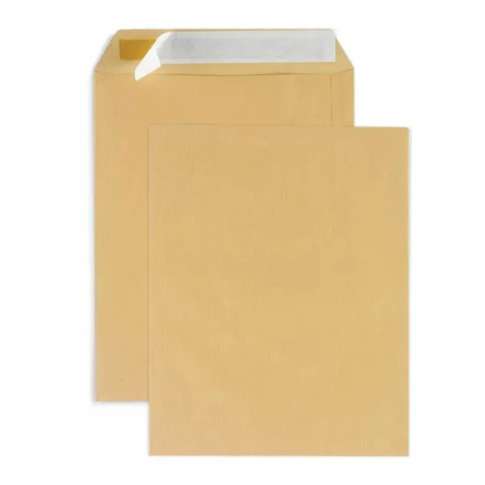 RAJA - 25 pochettes en papier kraft - 26 x 33 cm