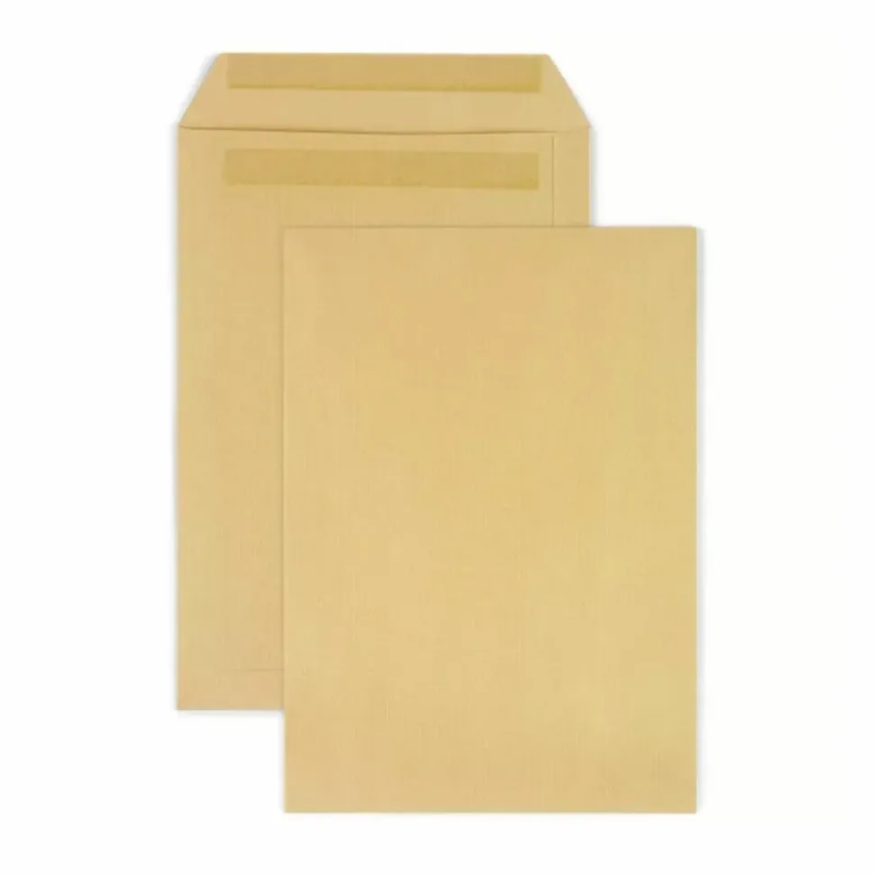 RAJA - 300 pochettes en papier kraft - 22,9 x 32,4 cm