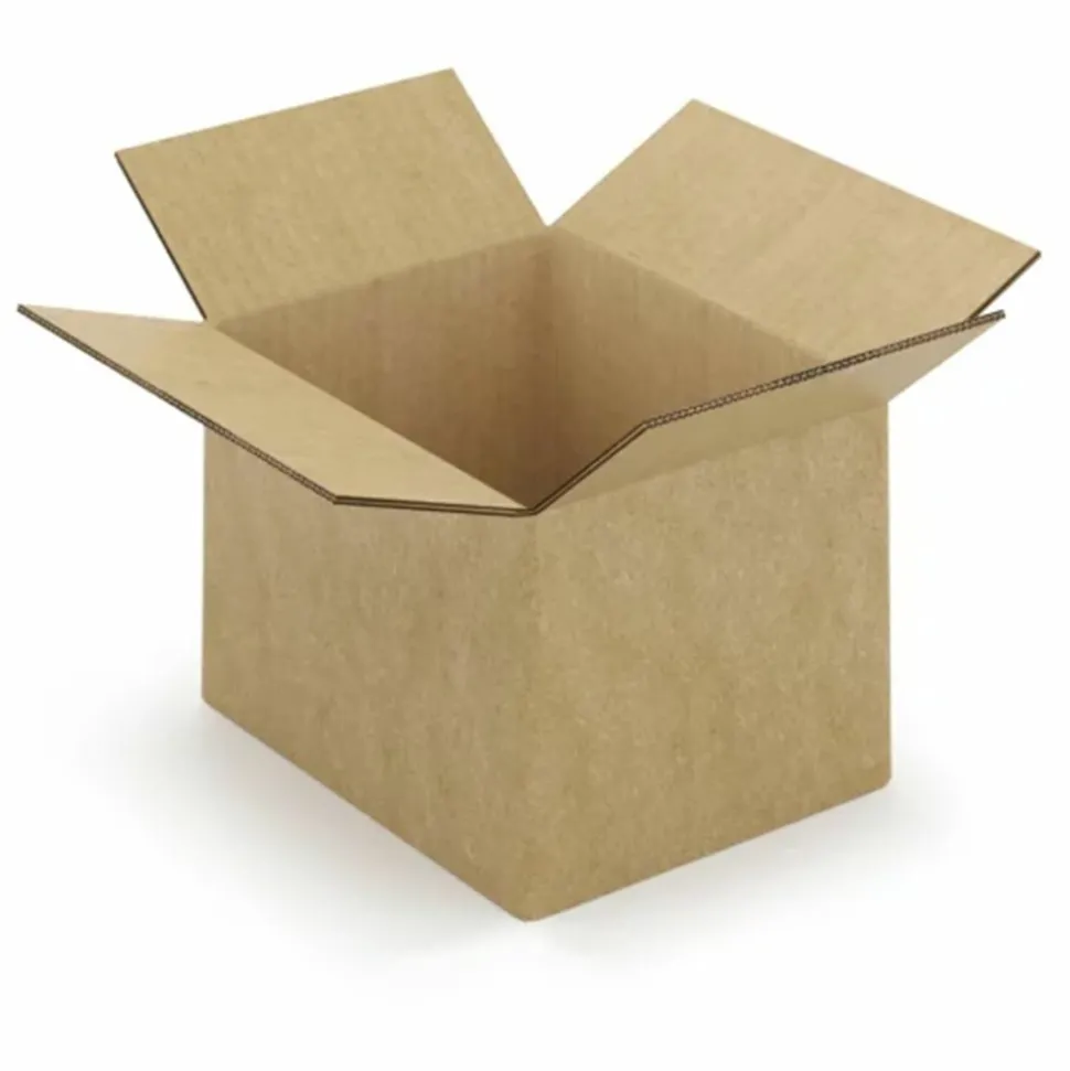 RAJA - Carton d'emballage 25 x 25 x 20 cm - double cannelure