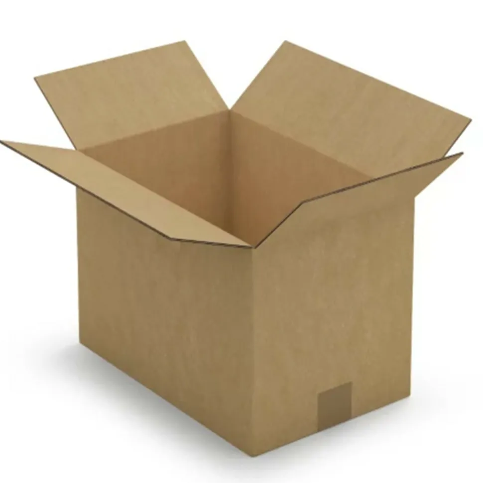 RAJA - Carton d'emballage 25 x 15 x 14 cm - simple cannelure